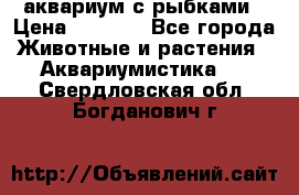 аквариум с рыбками › Цена ­ 1 000 - Все города Животные и растения » Аквариумистика   . Свердловская обл.,Богданович г.